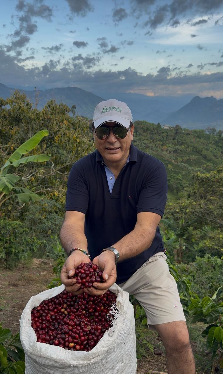 Cosecha de cerezas de café en la finca, Supía