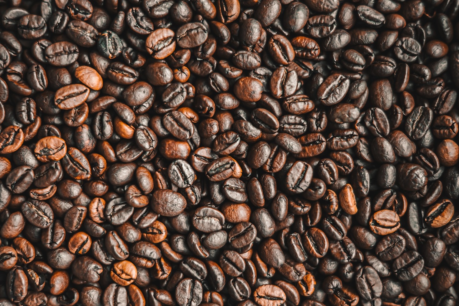 La historia detrás de Alquimia Coffee World