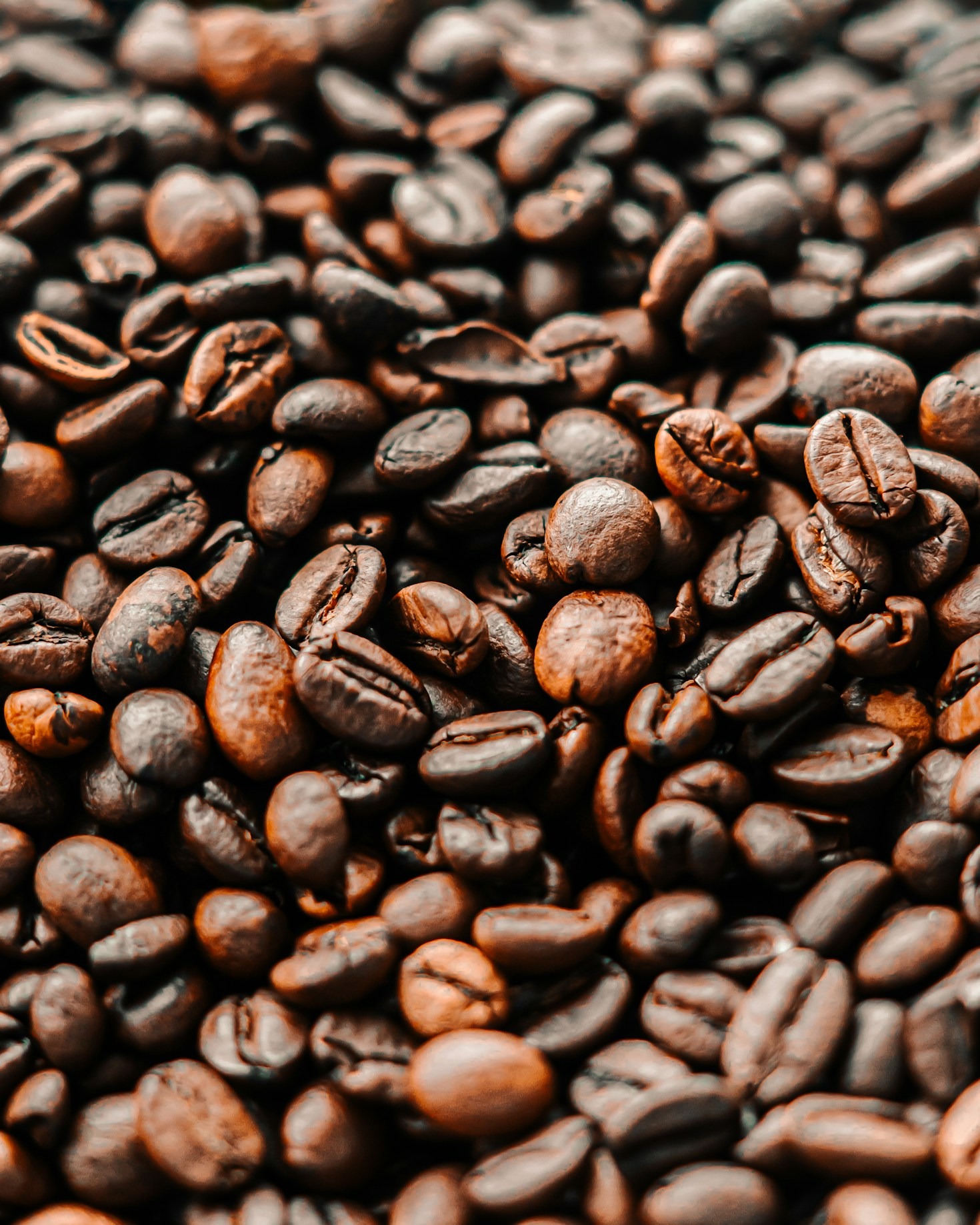 Descubriendo el alma del café colombiano