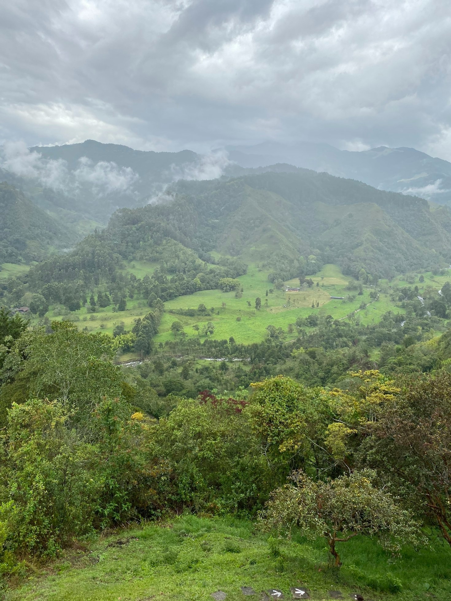 Montañas, tradición y café: una conexión especial