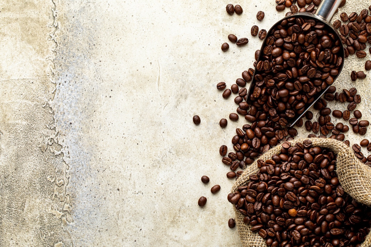 Por qué elegir café cultivado con respeto a la tierra